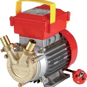 ELETTROPOMPA TRAVASO OTTONE CE ROVER