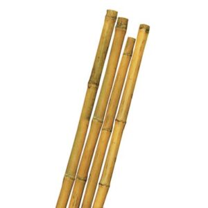 TUTORE CANNA BAMBOO